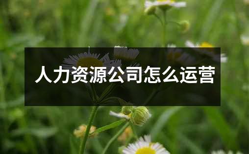 人力资源公司怎么运营