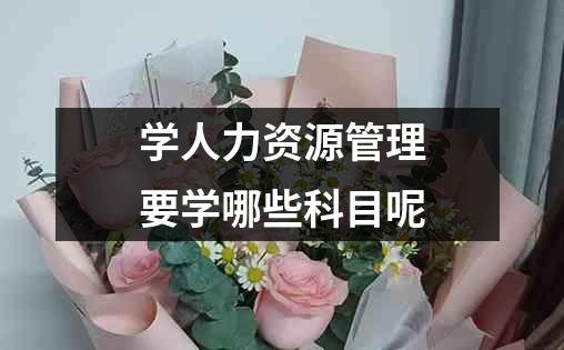 学人力资源管理要学哪些科目呢