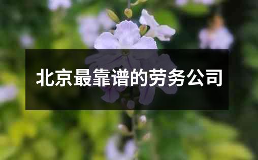 北京最靠谱的劳务公司