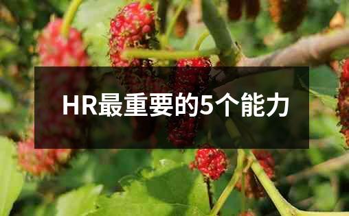 HR最重要的5个能力