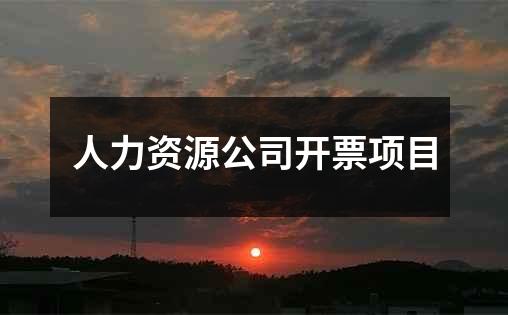 人力资源公司开票项目