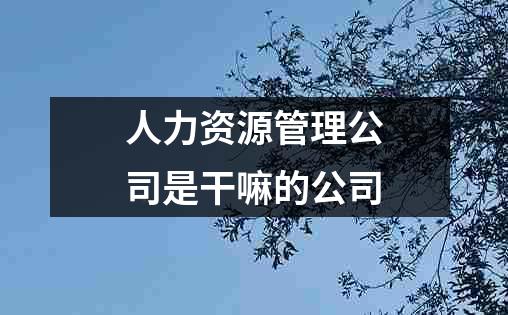 人力资源管理公司是干嘛的公司