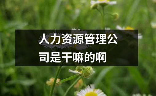 人力资源管理公司是干嘛的啊