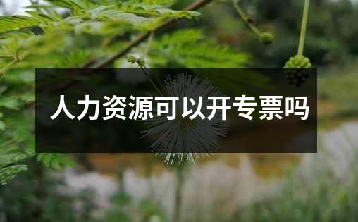 人力资源可以开专票吗