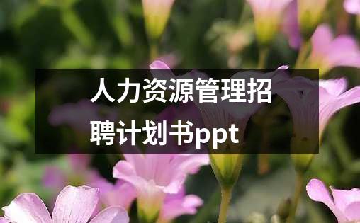 人力资源管理招聘计划书ppt