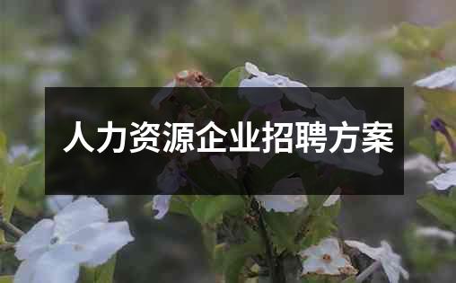 人力资源企业招聘方案