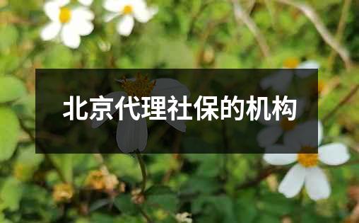 北京代理社保的机构