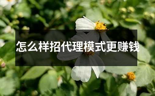 怎么样招代理模式更赚钱