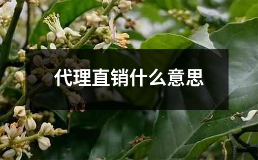 代理直销什么意思