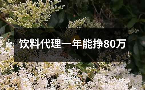 饮料代理一年能挣80万