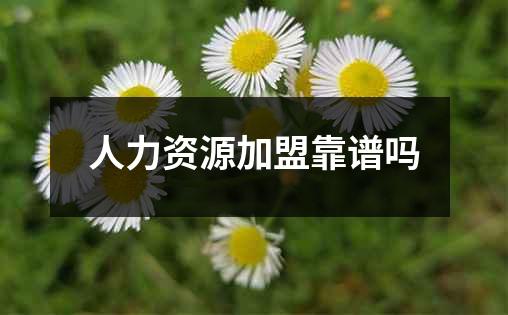 人力资源加盟靠谱吗