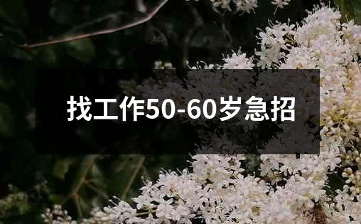 找工作50-60岁急招