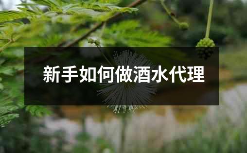 新手如何做酒水代理