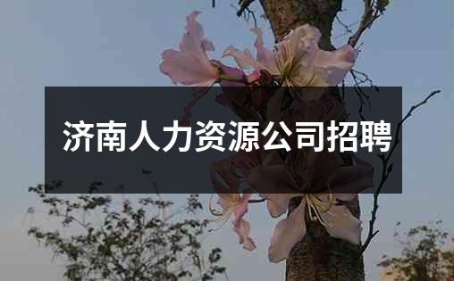 济南人力资源公司招聘