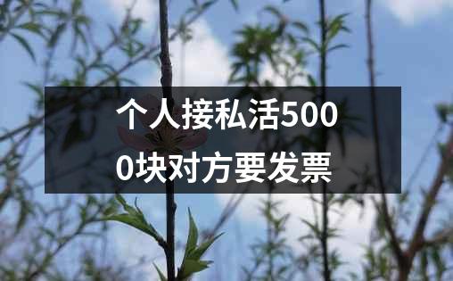 个人接私活5000块对方要发票