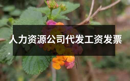 人力资源公司代发工资发票