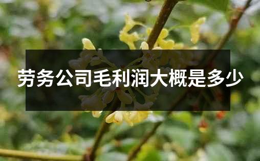 劳务公司毛利润大概是多少