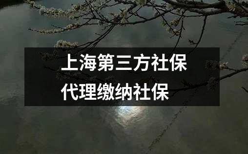 上海第三方社保代理缴纳社保