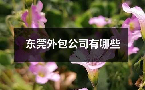 东莞外包公司有哪些