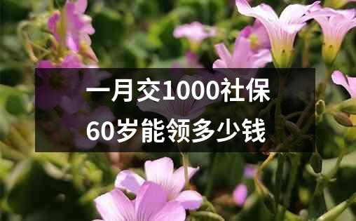 一月交1000社保60岁能领多少钱