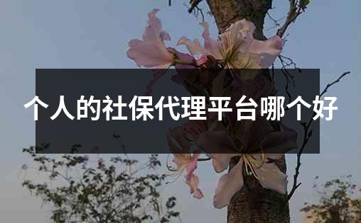 个人的社保代理平台哪个好