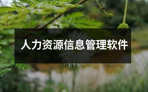 人力资源信息管理软件