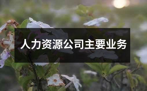 人力资源公司主要业务