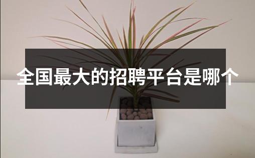 全国最大的招聘平台是哪个