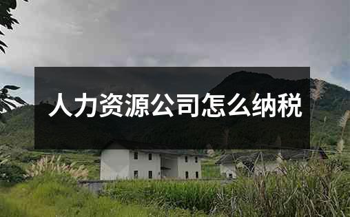 人力资源公司怎么纳税