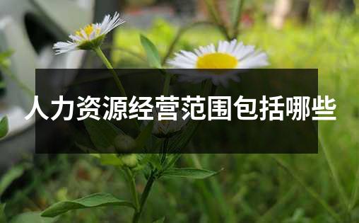 人力资源经营范围包括哪些