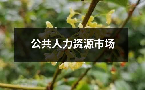 公共人力资源市场