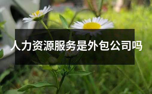 人力资源服务是外包公司吗