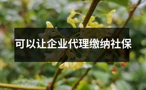 可以让企业代理缴纳社保