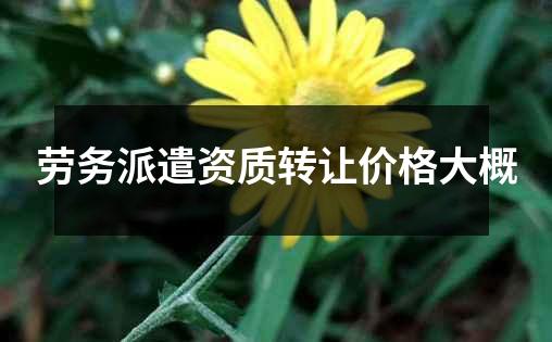 劳务派遣资质转让价格大概