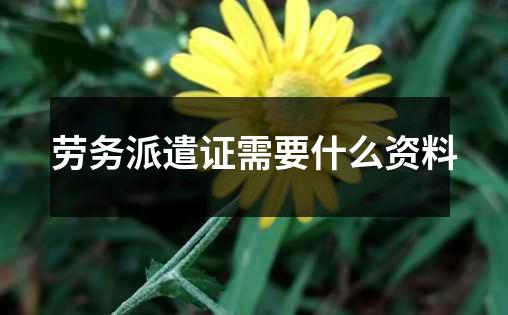 劳务派遣证需要什么资料