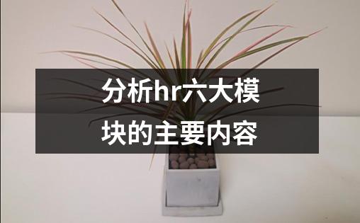 分析hr六大模块的主要内容