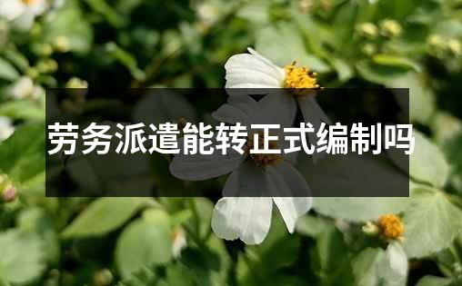 劳务派遣能转正式编制吗