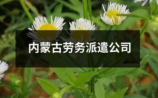 内蒙古劳务派遣公司