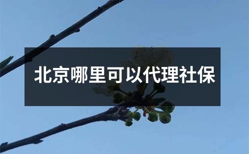 北京哪里可以代理社保