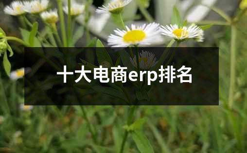 十大电商erp排名