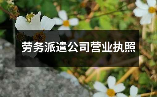 劳务派遣公司营业执照