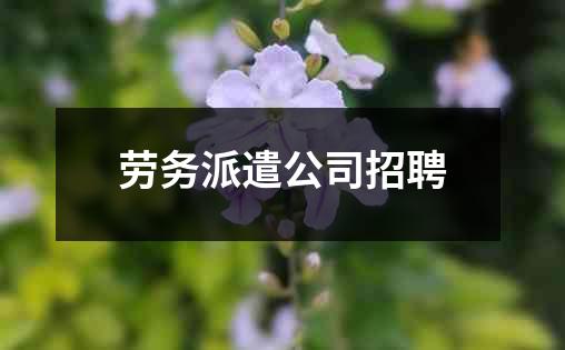 劳务派遣公司招聘