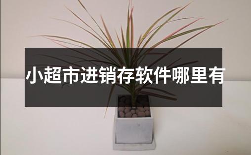 小超市进销存软件哪里有