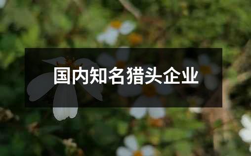 国内知名猎头企业