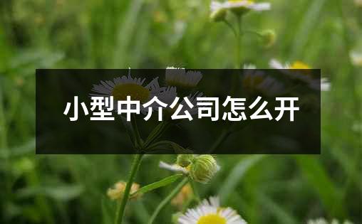 小型中介公司怎么开