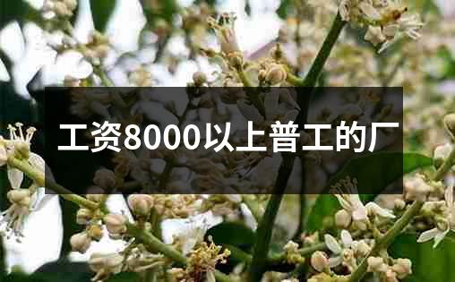 工资8000以上普工的厂