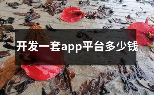 开发一套app平台多少钱