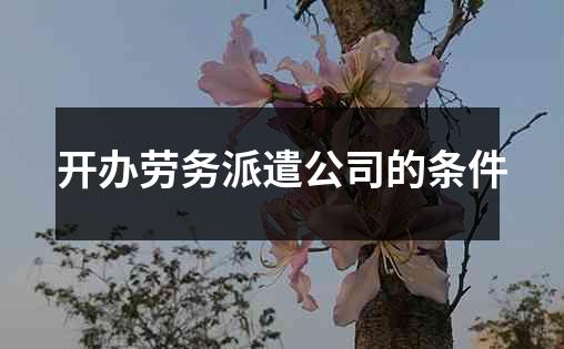 开办劳务派遣公司的条件