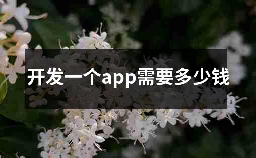 开发一个app需要多少钱