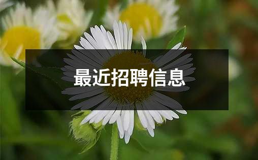 最近招聘信息